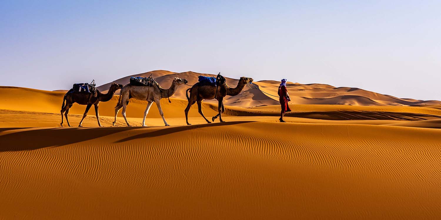 camel ride in merzouga desert